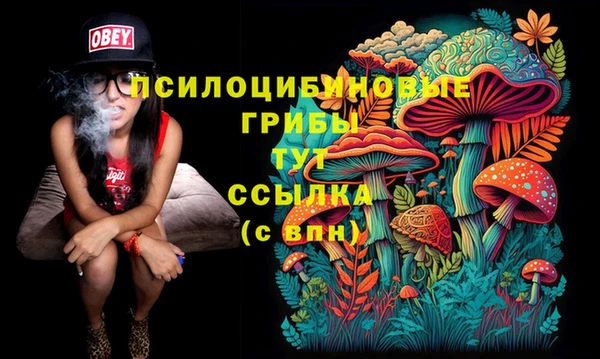 герыч Бежецк