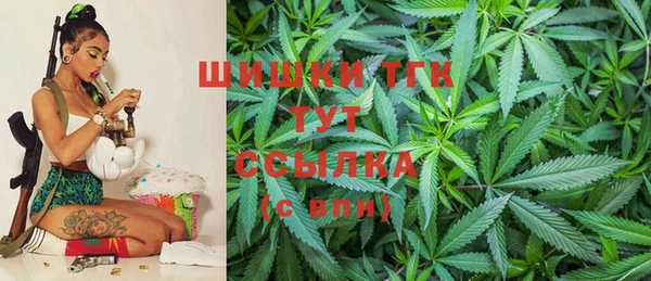 дмт Надым