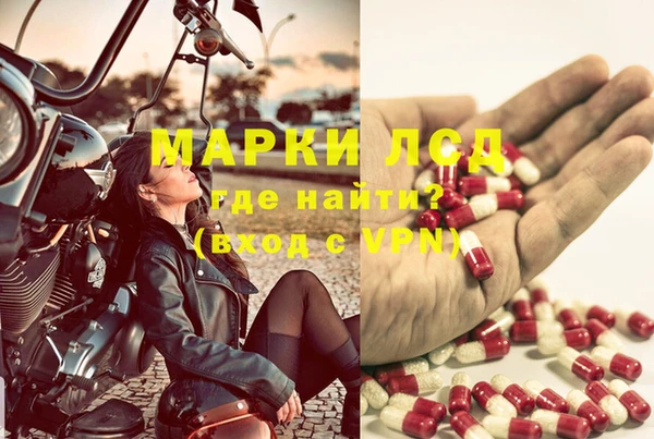 дмт Надым