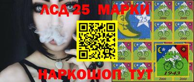 амфетамин Донской