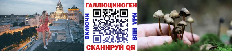 Псилоцибиновые грибы GOLDEN TEACHER  купить  цена  Котовск 