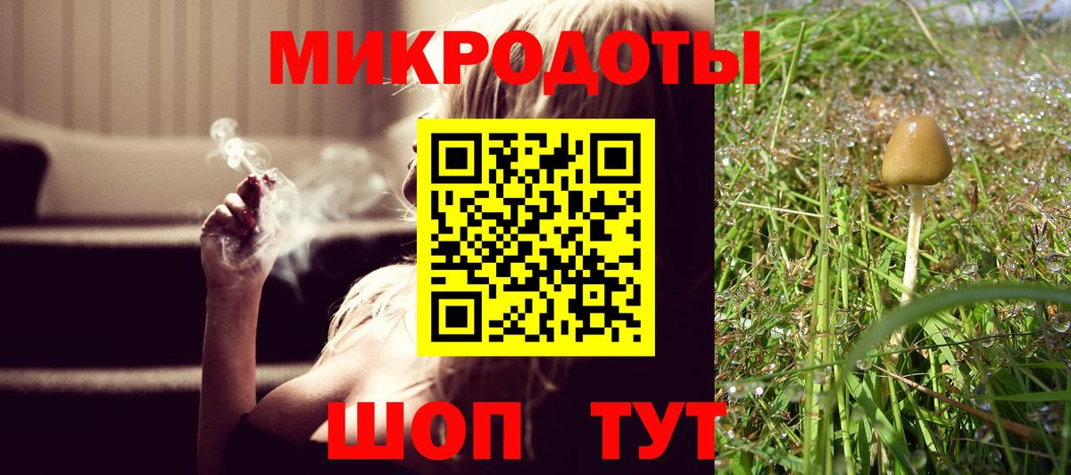 Галлюциногенные грибы Cubensis Котовск