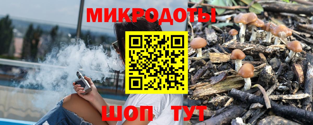 Галлюциногенные грибы ЛСД Котовск