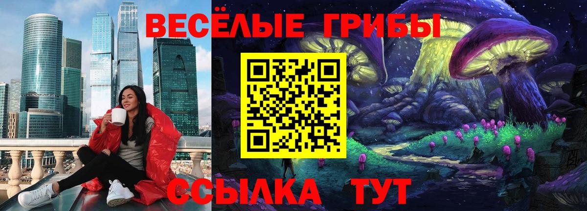 Котовск  Псилоцибиновые грибы мицелий  Вход с VPN 